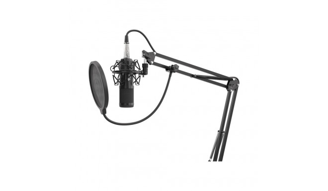 "microphone Genesis Radium 300XLR"