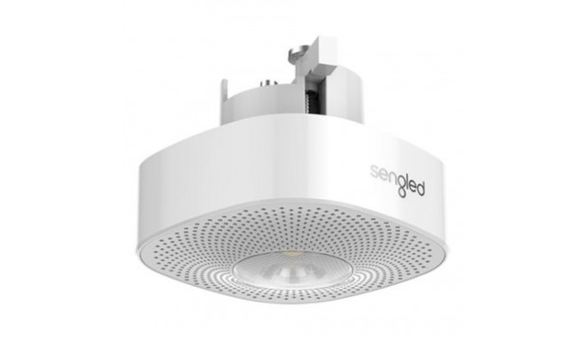 Sengled Pulse Wave MasterCeiling