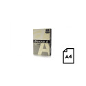 Colour paper Double A, 80g, A4, 500 sheets, Ivory