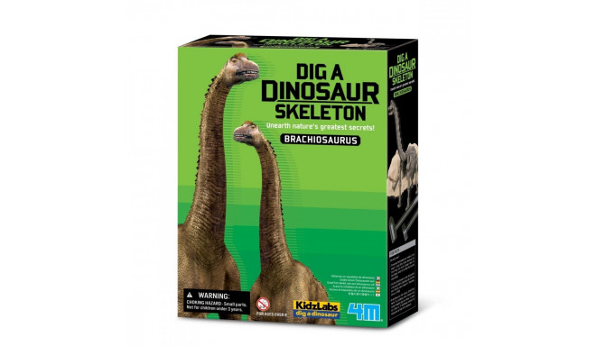 4m Excavation - Brachiozaur