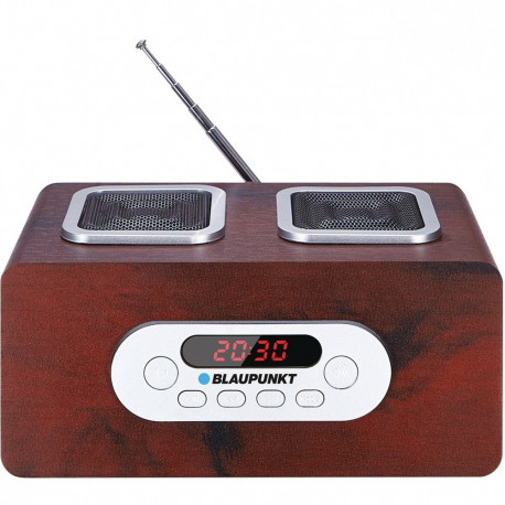 Portable radio PP5BR SD/USB