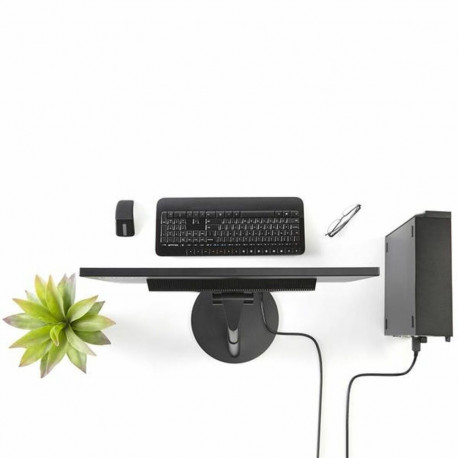 DisplayPort-DVI Adapter Startech DP2DVI2MM6           (1,8 m) Must 1.8 m