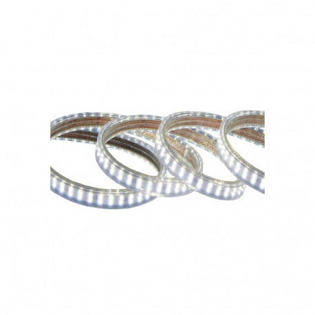 LED riba Tamoline, 10m, 1350 lm/m