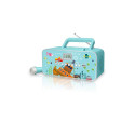 Muse raadio M-29KB CD/MP3/USB