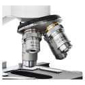 Microscope Bresser Erudit DLSX 40x - 600x