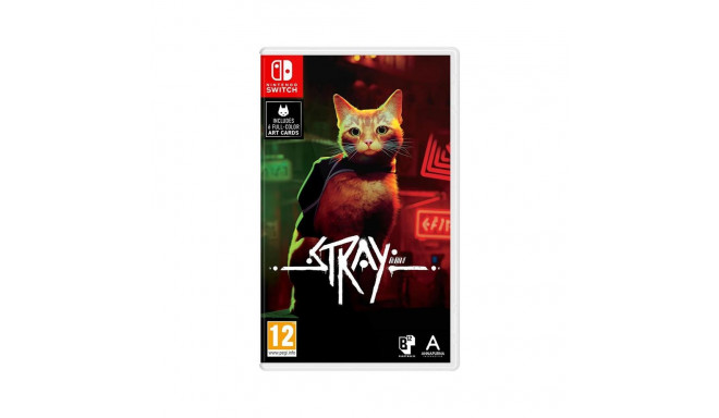 SW Stray