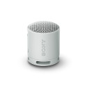 Kaasaskantav kõlar Sony, IP67, BT,, USB-C,