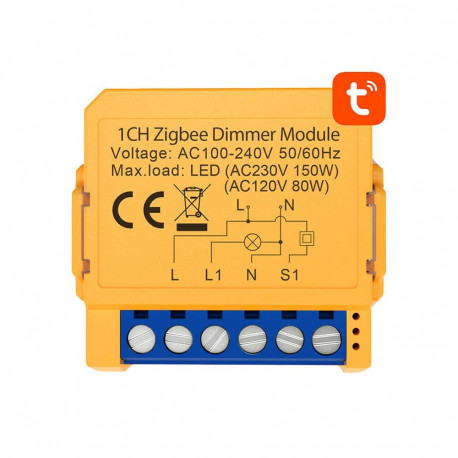 Smart socket switch ZigBee Avatto ZDMS16-2 TUYA