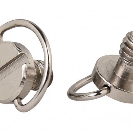 B.I.G. D-Ring Kameraschraube 1/4 Zoll, 2er Pack