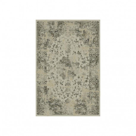 CARPET R PALACE 14748/5353