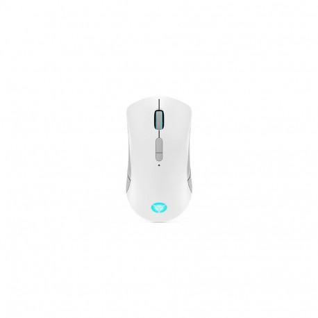 Lenovo Legion M600 juhtmevaba mängurihiir kahekäeline RF juhtmevaba + Bluetooth + USB Type-A optilin
