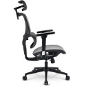Sharkoon office chair OfficePal C40M (grey)