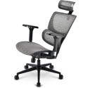 Sharkoon office chair OfficePal C40M (grey)