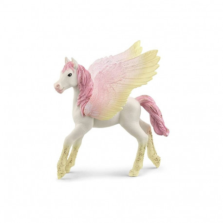 Bayala vars Pegasus