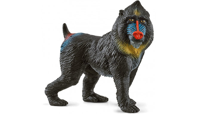 Wild Life Mandrill
