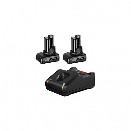 PRO starterkomplekt 12V 2x GBA 12V 6.0Ah + GAL 12V-40 Professional, must