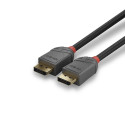 CABLE DISPLAY PORT 3M/ANTHRA 36483 LINDY