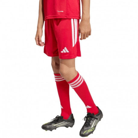 Adidas laste lühikesed püksid Tiro 26 League KA8817 140cm, punane