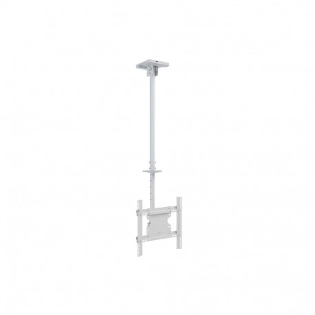 Multibrackets MB-2494 TV Ceiling mount up to 55" / 70kg