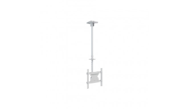 Multibrackets MB-2494 TV Ceiling mount up to 55" / 70kg