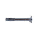 SCREW DIN603 M8X50 (100)(800)