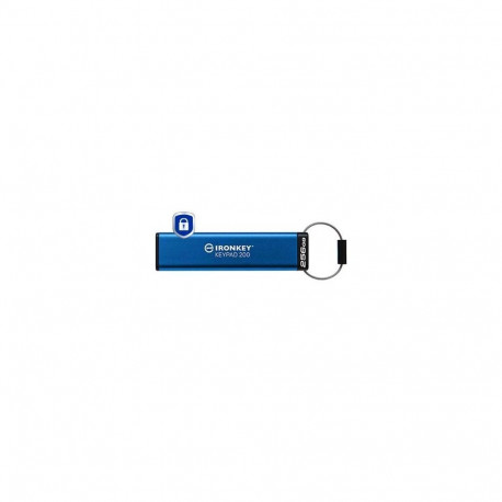 Kingston MEMORY DRIVE FLASH USB3.2/256GB IKKP200/256GB