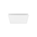 Philips Hue Surimu Square paneelvalgusti, 60 x 60 cm | 2000-6500 Hue valge värvi meeleolu