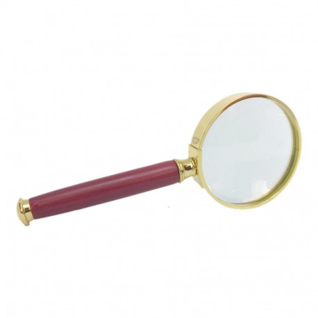 SAFE Luup Gold Edition - 5x