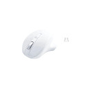 Matias Wireless USB-C P ro Mouse White
