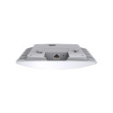 Access Point - TP-Link Omada 300Mbps Wireless N Ceiling Mount PoE