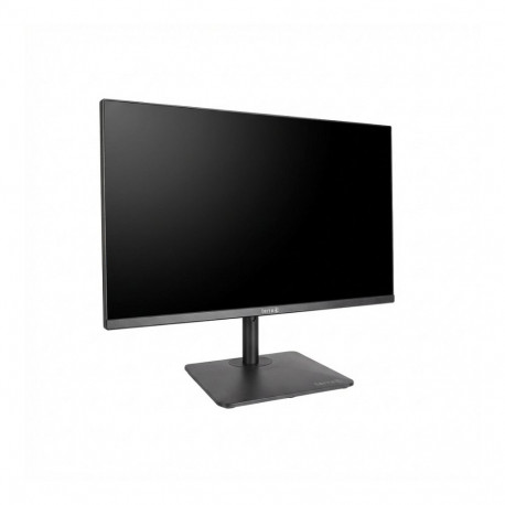 "Wortmann TERRA ALL-IN-ONE-PC 2401HA GREENLINE"