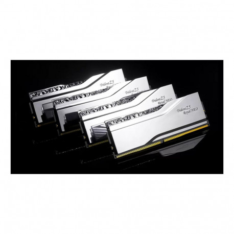 "32GB PC 6000 CL28 G.Skill KIT (2x16GB) TR5NS NEO RGB/AM"