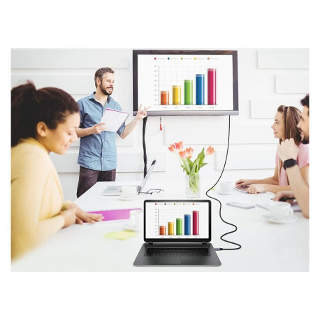 "Equip DisplayPort 2.1 St/St 3.00m16K/60Hz komp.HDCP Alum. gr"