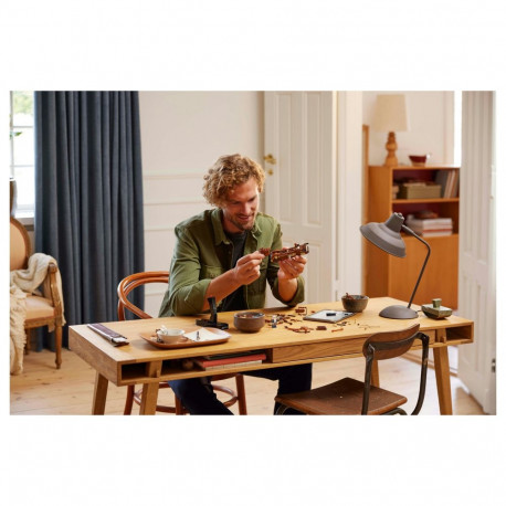 "LEGO ICONS 10363 - Leonardo da Vincis Fluggerät"