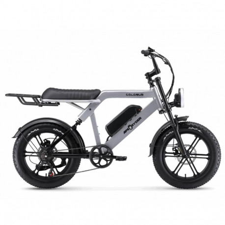 Elektrijalgratas APE RYDER 20 Colobus hall