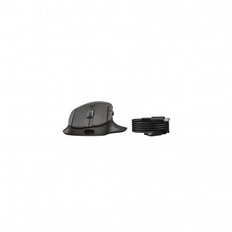 HP Ultra-Fast-Scroll Wireless Mouse 785M