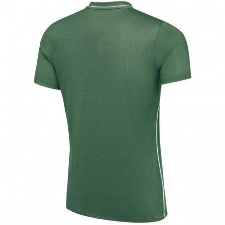 Nike meeste t-särk Dri-Fit Park 26 SS Top HM7127 302 2XL, roheline