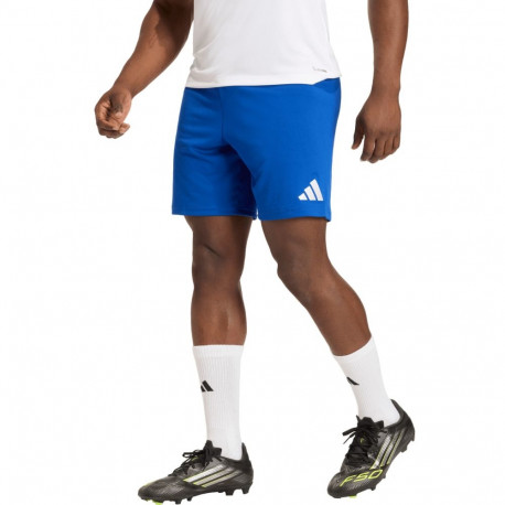 adidas meeste lühikesed püksid Entrada 26 JZ2520 XL, sinine