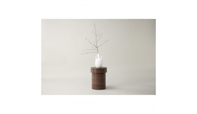 Abilaud MALUNG, pruun