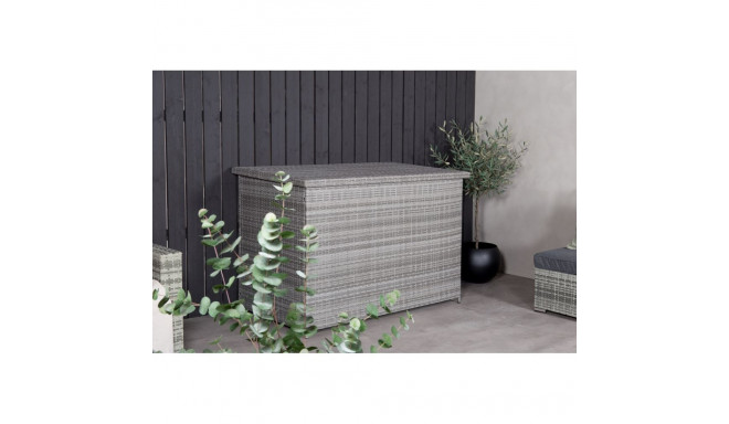 Padjakast AMAZON, hall