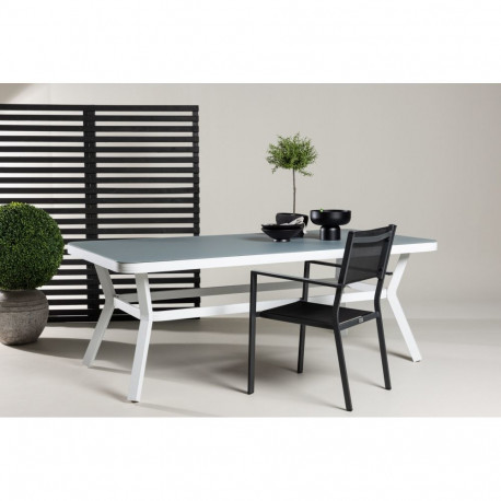 Aialaud VIRYA, valge/hall