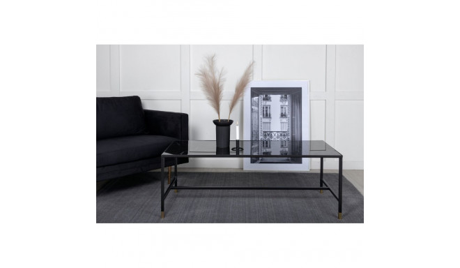 Diivanilaud DIPP 130x60, must