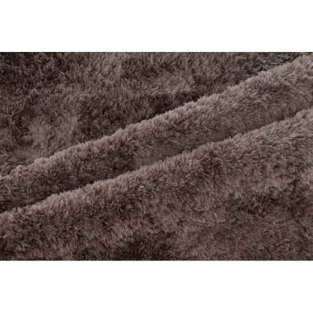 Vaip GRACE 300x200 cm, pruun