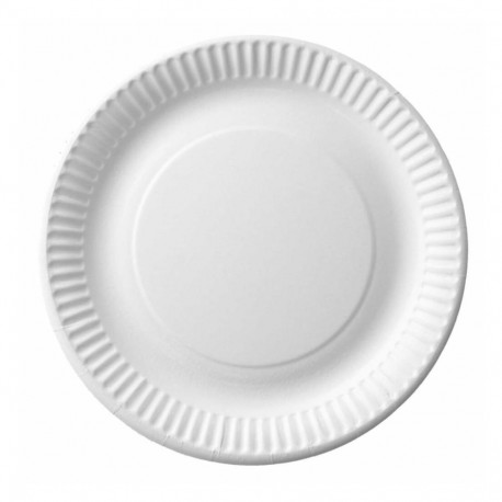 Papptaldrik 23cm valge 100tk pakis