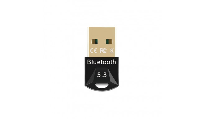 RoGer BT53 USB Dongle Bluetooth 5.3 + EDR
