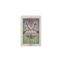 AGM Aleister Crowley Thoth Standard Tarot Cards Polish Language