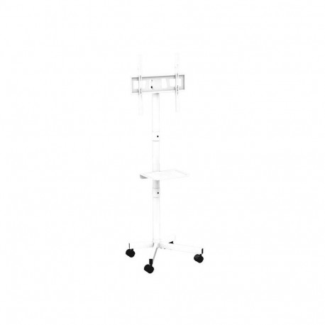TV SET ACC FLOOR STAND 32-55"/TVS-55T-03-W GEMBIRD