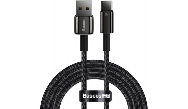 Baseus cable USB - USB-C Tungsten Gold 100W 2m