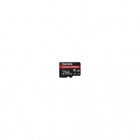 SANDISK BY WESTERN DIGITAL MEMORY MICRO SDXC 256GB UHS-I/SDSQXFN-256G-GN4NN
