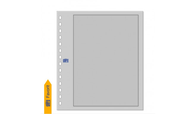 SAFE Kartong-Blanko vaheleht raamiga - hall